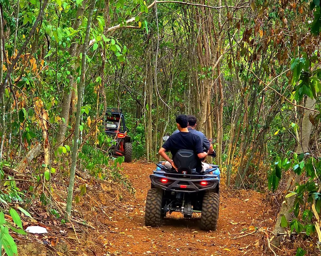 ATV following a buggy through dense forest on a guided jungle ride