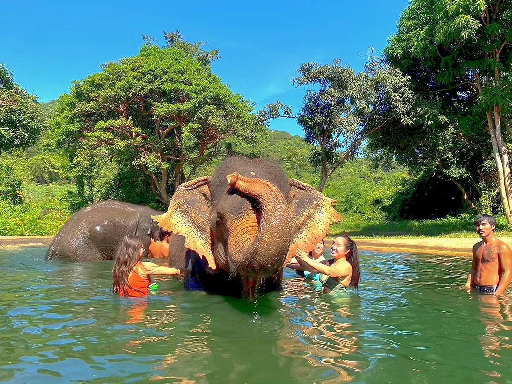 Visitors bathing with an elephant in a jungle pool on the ATV & Elephant tour